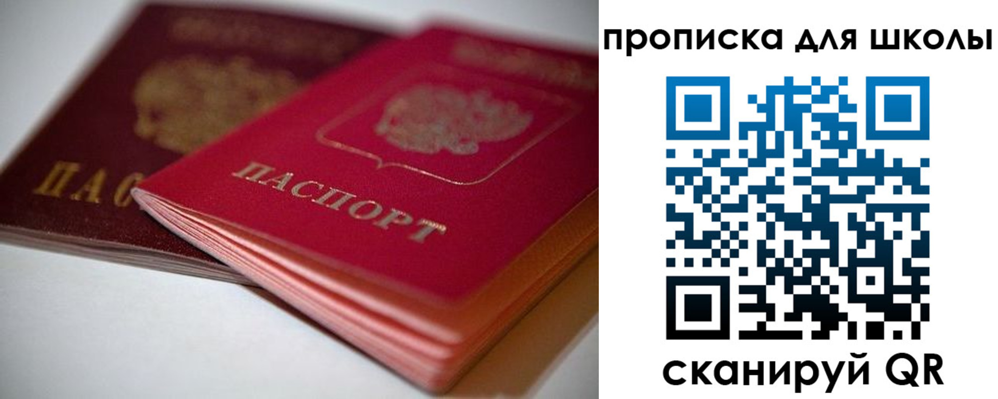 прописка для школы в Чите